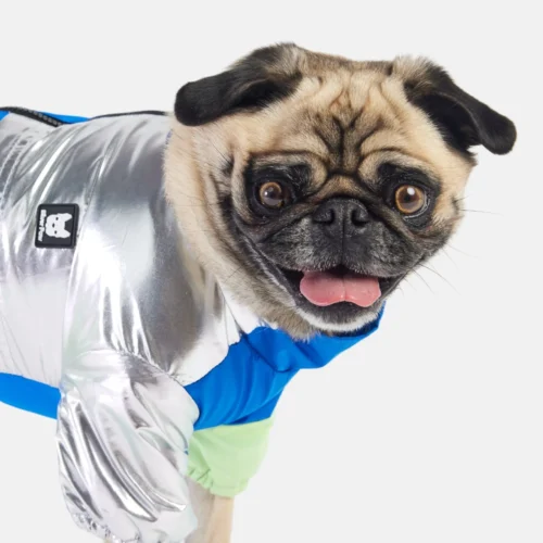 Ricki Dog Tracksuit Blue Waterproof One-Piece with Harness Access & Zipper Closure